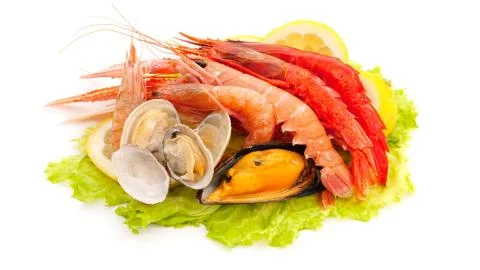 Seafood. Shrimp. Stock Photos