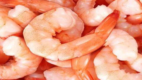 Seafood. Shrimp. Stock Photos