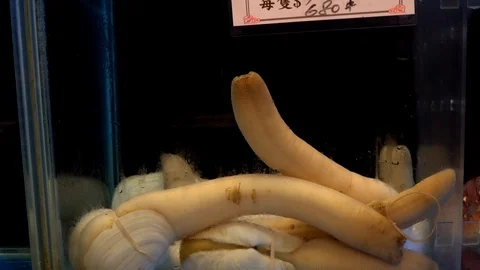 Seafood stand Video stock 108680871