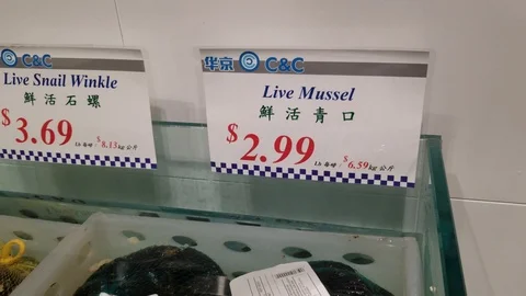 Seafood store 2 Stock Footage 102129386