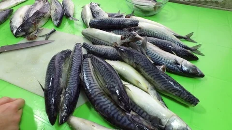 Seafood on the table. Mackerel. Cutting fish. Cuts the tail of a fish. Video stock 83974744