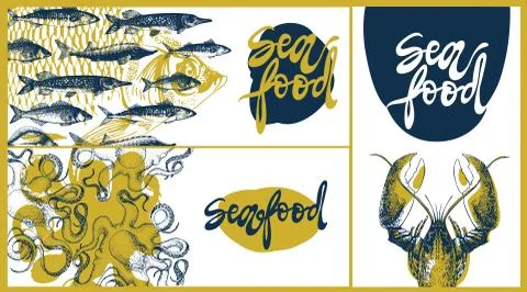 Seafood vector design template, banners set. Seafood vector illustration hand Stock Illustration