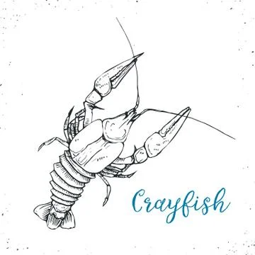 Seafood vector illustration Stock Illustration