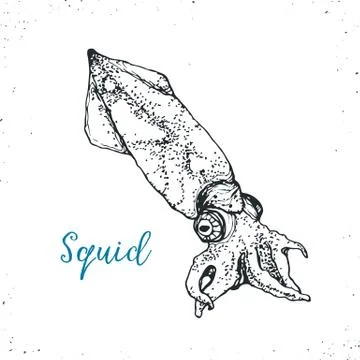 Seafood vector illustration Illustrazione stock