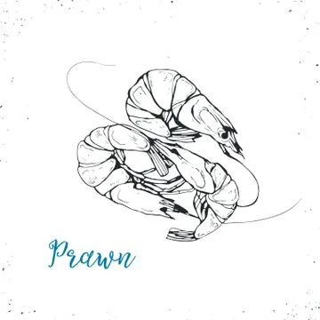 Seafood vector illustration Stock Illustration