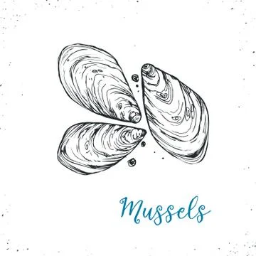 Seafood vector illustration Stock Illustration