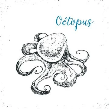 Seafood vector illustration Illustrazione stock