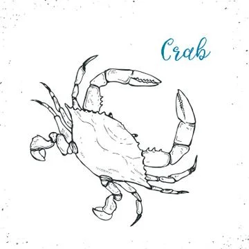 Seafood vector illustration Stock Illustration