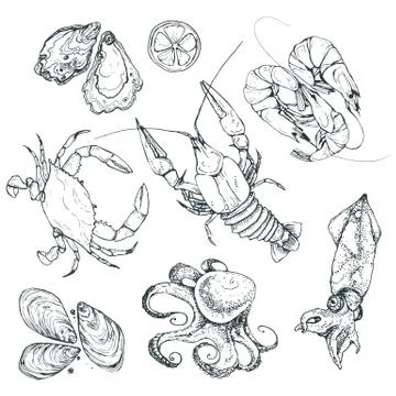 Seafood vector illustration Stock Illustration