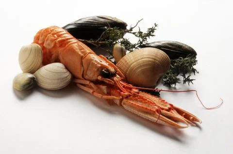 Seafood on a white background Stock Photos