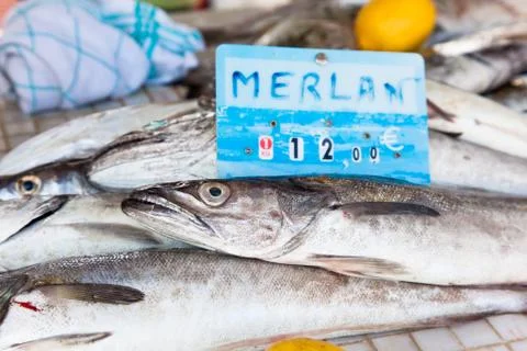 Seafood whiting Stock Photos