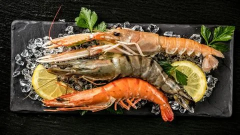 Seafood for you! Stock Photos