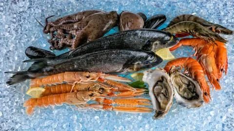 Seafood to your table. Stock Photos