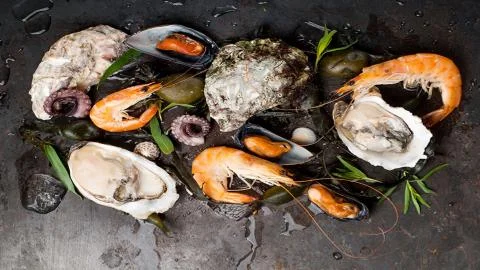 Seafood to your table. Stock Photos