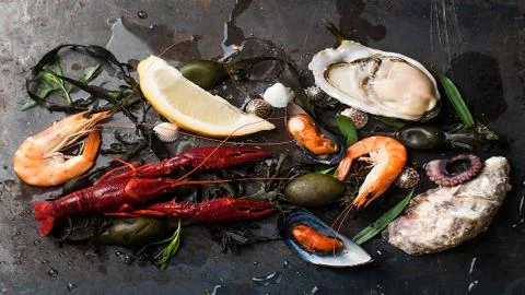 Seafood to your table. Stock Photos
