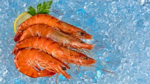 Seafood.Trips on ice. Stock Photos