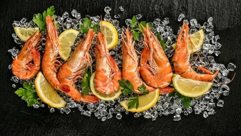 Seafood.Trips on ice. Stock Photos