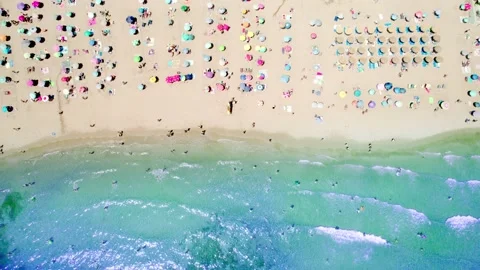 Seafront beach view from above. Blue water and colorful umbrellas on the sand Video stock 164911437