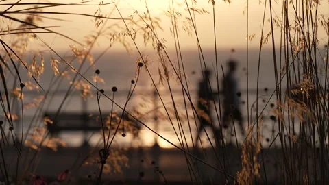 Seafront promenade at sunrise, Penarth Stock Footage 281606043