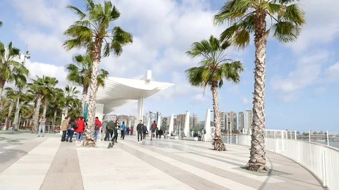 Seafront promenade, tourists passing by, arty trendy structure, palm trees. Stock Footage 106337232