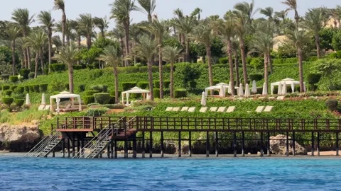Seafront resort with landscaped palm tree garden and wooden snorkeling pier 스톡 동영상 341838216