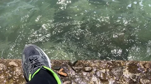 Seafront sneaker resting clear of running. first-person view of seafront snea Stock Footage 131456464