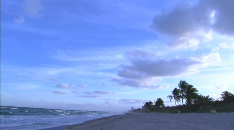 Seagrass beach Stock Footage 622937