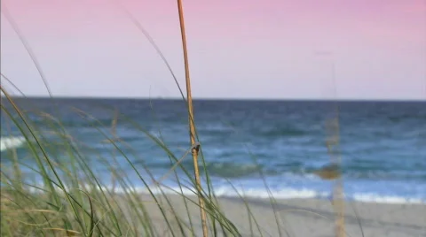 Seagrass beach Stock Footage 622941