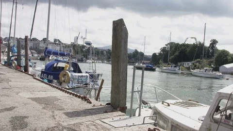 Seagul flying by the harbor Stock Footage 78639026