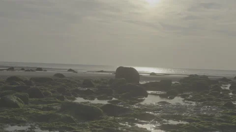 Seagul flying over a beach in North Wales Stock Footage 288746435
