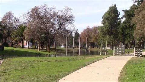 Seagul watchpost Stock Footage 87140803