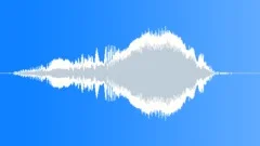 Seagull 03 Sound Effect