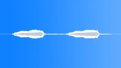 Seagull 04 Sound Effect