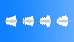 Seagull 05 Sound Effect