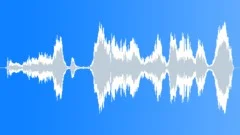 Seagull 06 Sound Effect