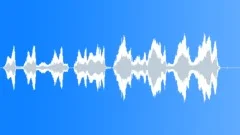 Seagull 14 Sound Effect