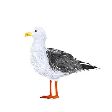 Seagull 8 bit pixel art vector icon over white Ilustração Stock