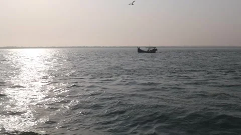 Seagull and Boat Stock Footage 258827010