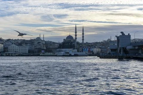 Seagull and mosque Stock Photos