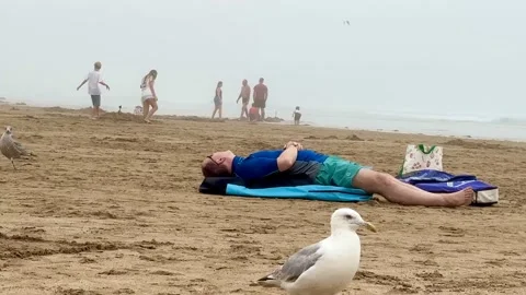 Seagull Approaching Man Relaxing on Beach Mat at Woolacombe Beach North Devon Stockbeeldmateriaal 346341489