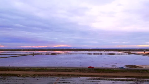 Seagull attacks drone in Valencia Stock Footage 280275845