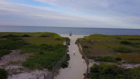 Seagull Beach, Cape Cod Video stock 84464878