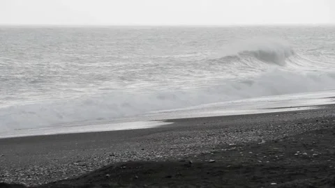 A seagull on the beach during a rain storm1 Video stock 143963575