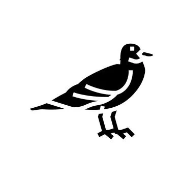 Seagull bird glyph icon vector illustration Illustrazione stock