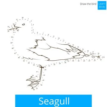 Seagull bird learn to draw vector Stock Illustration