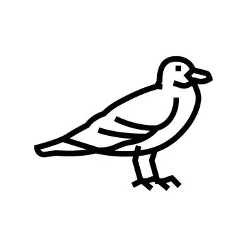 Seagull bird line icon vector illustration Illustrazione stock