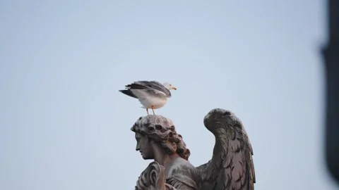 Sitting Angel Statue Stock Footage ~ Royalty Free Stock Videos | Pond5