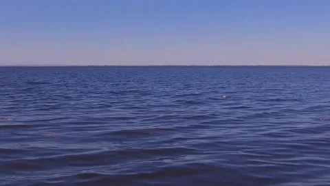 A Seagull bobs on the waves Stock Footage 131114179