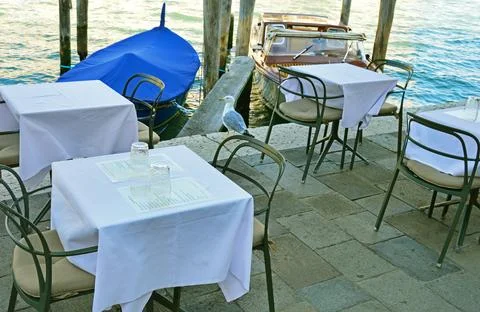 A seagull in a cafe without visitors Stock Photos