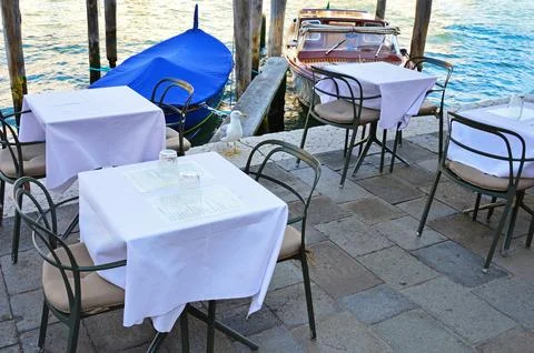 A seagull in a cafe without visitors Stock Photos